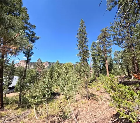 48 Ponderosa Way, Durango, CO 81301 photo 13