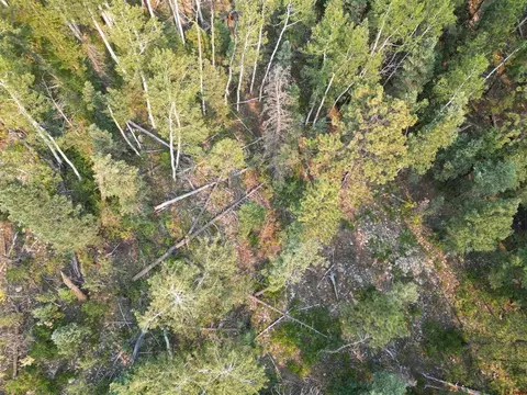 48 Ponderosa Way, Durango, CO 81301
