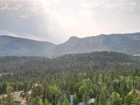 48 Ponderosa Way, Durango, CO 81301 photo 19