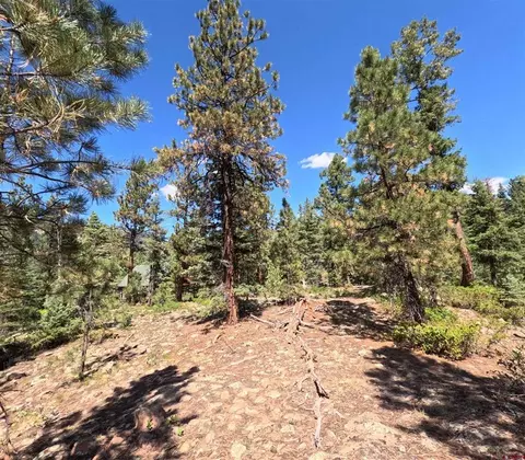 48 Ponderosa Way, Durango, CO 81301 photo 18
