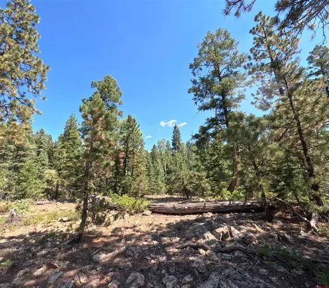 48 Ponderosa Way, Durango, CO 81301 photo 15