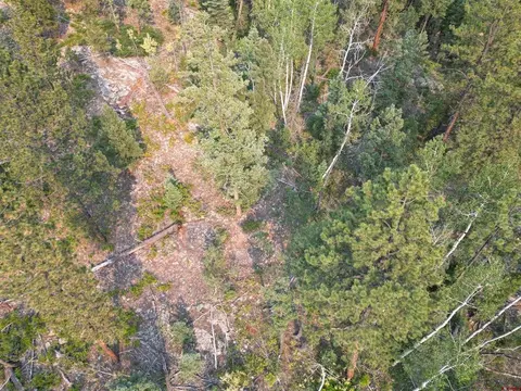 48 Ponderosa Way, Durango, CO 81301 photo 4