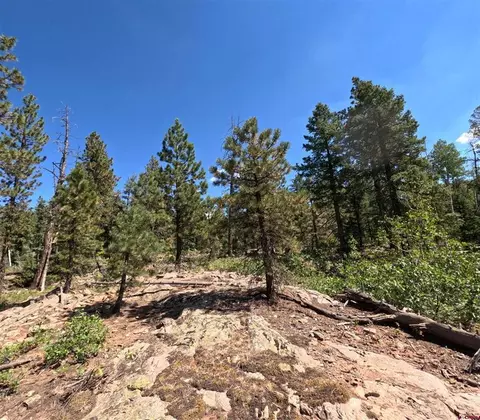 48 Ponderosa Way, Durango, CO 81301 photo 11