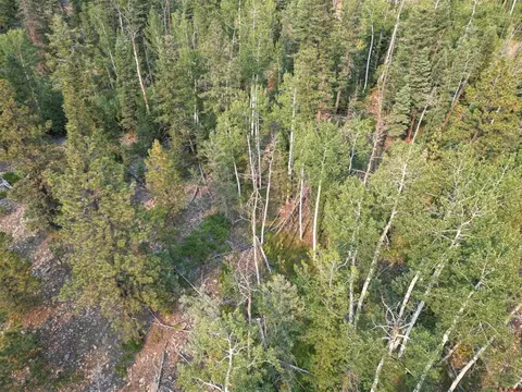 48 Ponderosa Way, Durango, CO 81301 photo 7