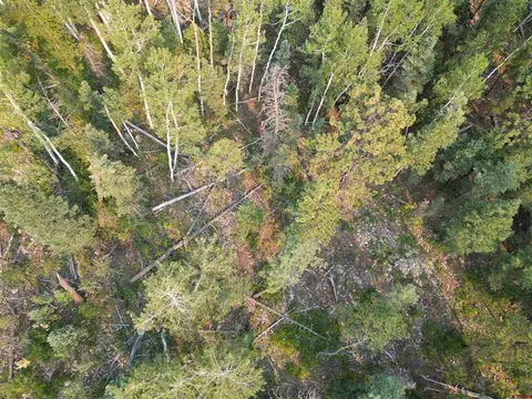 48 Ponderosa Way, Durango, CO 81301 photo 2
