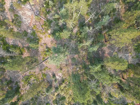 48 Ponderosa Way, Durango, CO 81301 photo 5