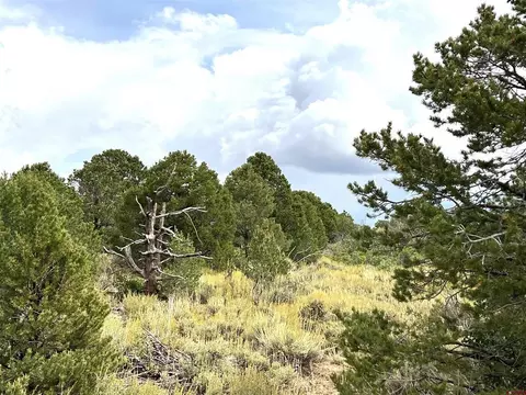 Lot 1 Road J.7, Egnar, CO 81325