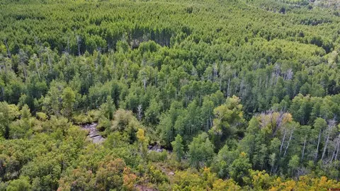 Lot 22 Stoney Creek Road, Hotchkiss, CO 81419