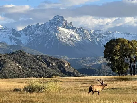 3 County Road 24, Ridgway, CO 81432