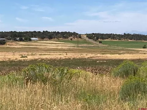 80 Ac Tbd 42zs Rd, Norwood, CO 81423
