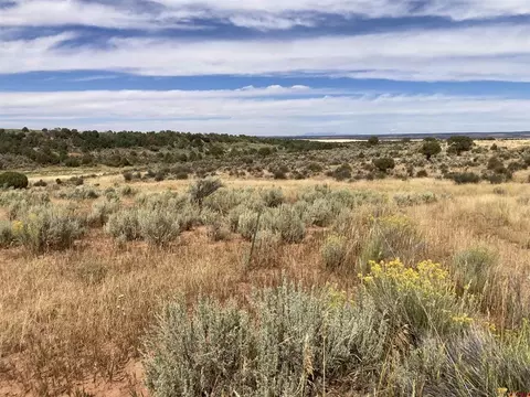 13511 Road Cc, Pleasant View, CO 81331