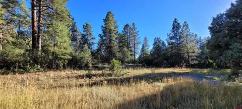 1057 Crooked Rd, Pagosa Springs, CO 81147