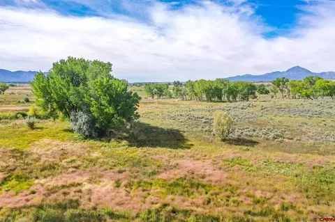 Tbd Road M, Cortez, CO 81321