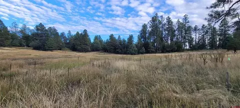 1037 Crooked Rd, Pagosa Springs, CO 81147