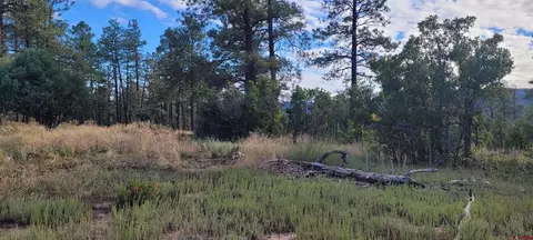 997 Crooked Rd, Pagosa Springs, CO 81147