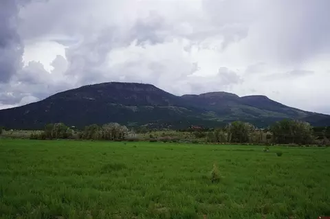 2023 River Island Dr, South Fork, CO 81154