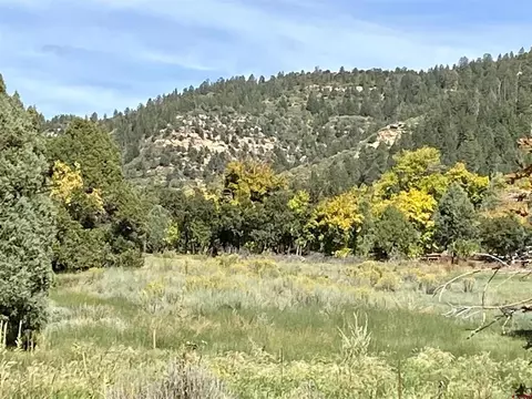 tbd Road 46, Mancos, CO 81328