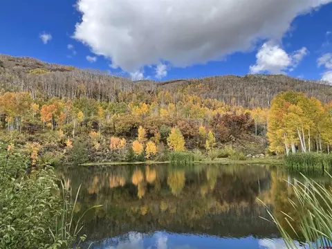 Lot 20 Highway 65, Cedaredge, CO 81413
