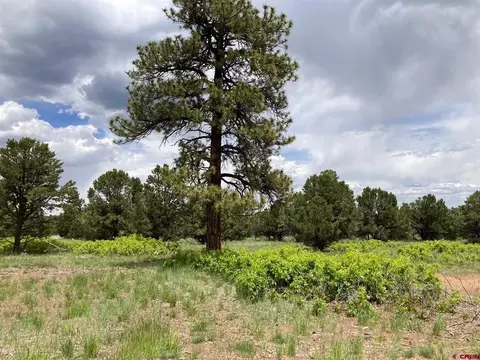 Lot 15 Fisher Canyon Drive, Ridgway, CO 81432
