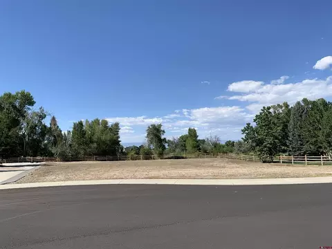 Lot 6 Tree Line Lane, Montrose, CO 81403