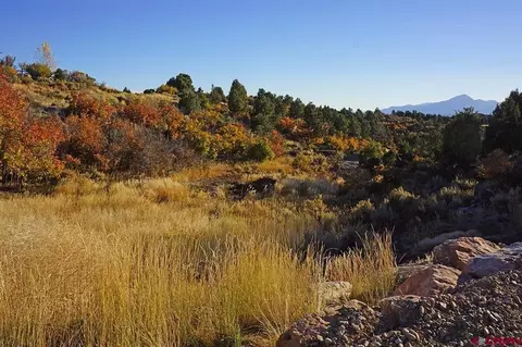 25600 Road U8, Dolores, CO 81323