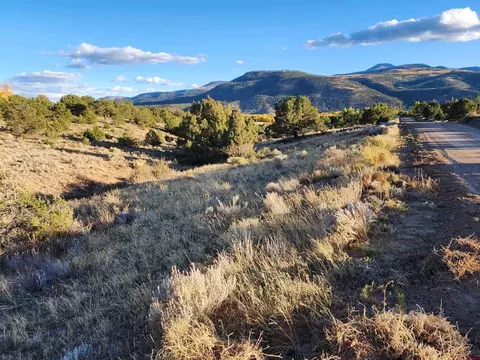 512 Kit Carson Rd, South Fork, CO 81154 photo 2