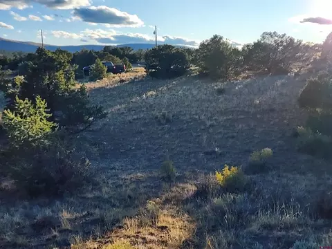 512 Kit Carson Rd, South Fork, CO 81154 photo 5