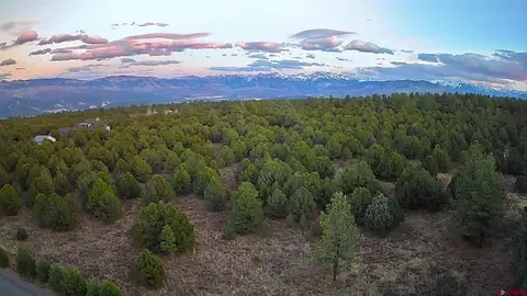 230 Fisher Canyon Dr, Ridgway, CO 81432