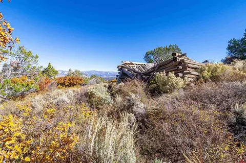 Tbd 52 5/10 Road, Collbran, CO 81643