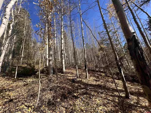 6701 Gardiner Rd, Fort Garland, CO 81133