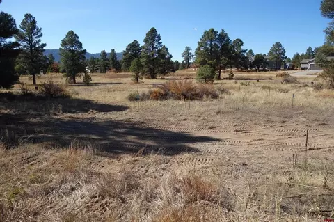 45 Domicile Cir, Pagosa Springs, CO 81147