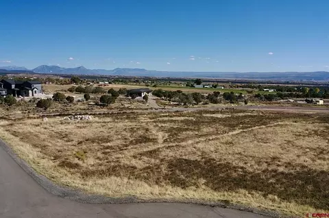 Lot 11 Pine Ridge Road, Cedaredge, CO 81413