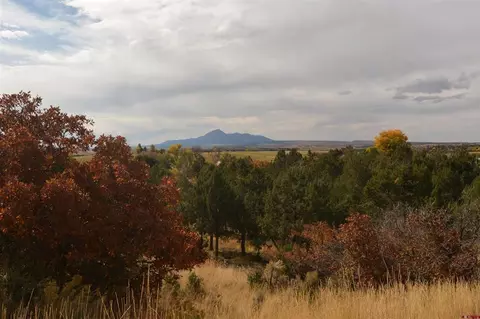 23040 Road X, Lewis, CO 81327