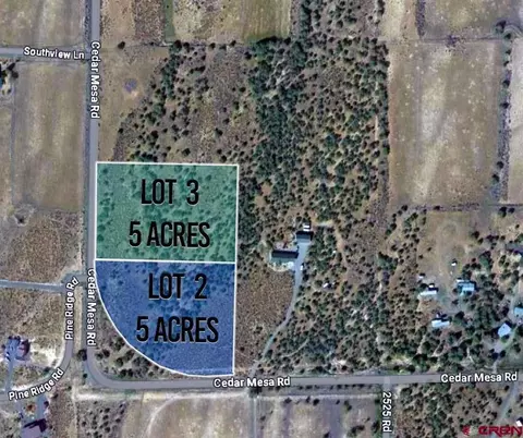 Lot 2 Cedar Mesa Road, Cedaredge, CO 81413