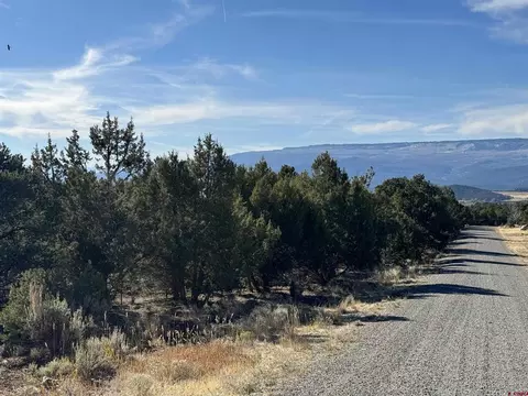 Tbd Surface Creek Road, Cedaredge, CO 81413