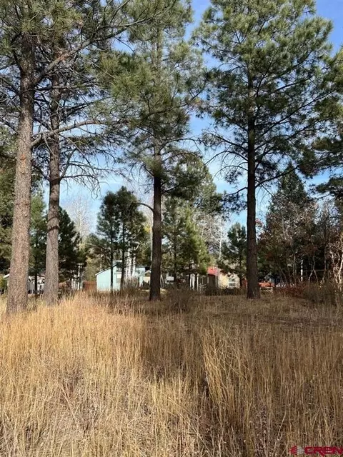 164 Canyon Cir, Pagosa Springs, CO 81147