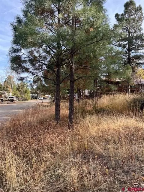 174 Canyon Cir, Pagosa Springs, CO 81147