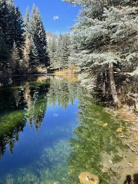 3 Boletus Creek Dr, Vallecito Lakebayfield, CO 81122