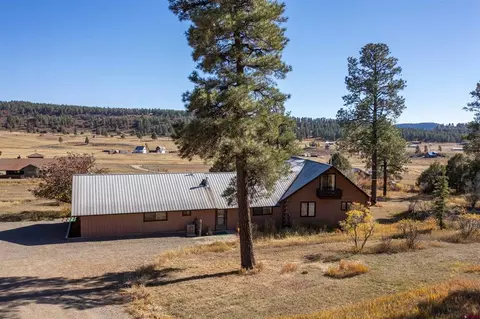 523 Terry Robinson Rd, Pagosa Springs, CO 81147