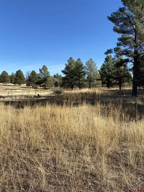 151 Mohawk Ct, Pagosa Springs, CO 81147