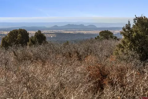 Lot 13 Roberts Ridge, Hesperus, CO 81326