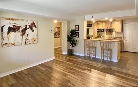 1700 County Road 203 #A-206, Durango, CO 81301