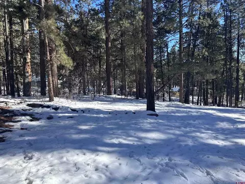 1419 Deer Ridge Dr, Bayfield, CO 81122