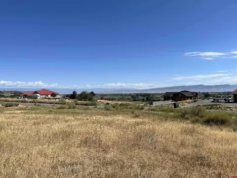 Lot 5 5950 Road, Montrose, CO 81403