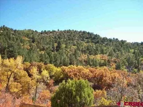 Tbd R40 Lane, Cedaredge, CO 81413