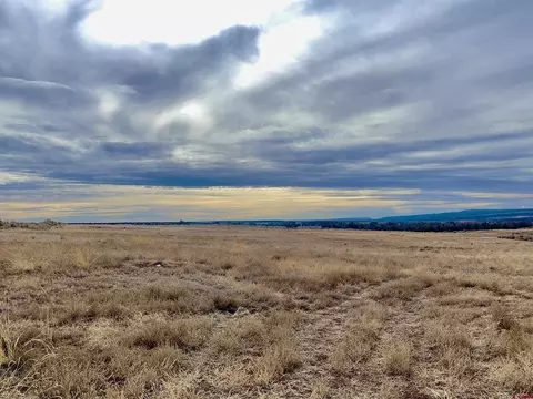 3 County Road 101, Hesperus, CO 81326