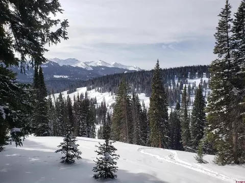 Tbd Copley Lake Road, Crested Butte, CO 81224