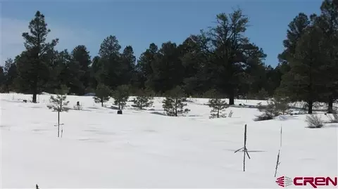 77 Bonita Dr, Pagosa Springs, CO 81147