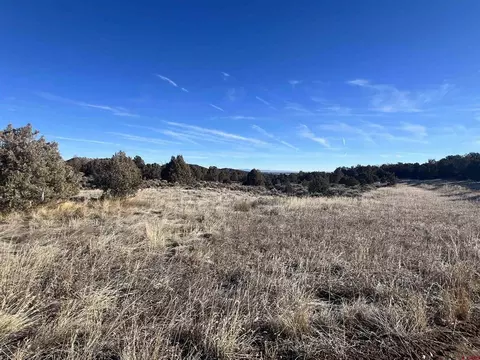 Lot 16 High Flume Drive, Durango, CO 81303