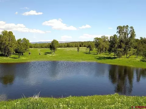 2821 County Road Aa42, Norwood, CO 81423